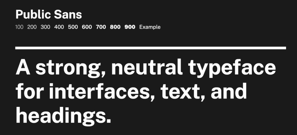 public sans font