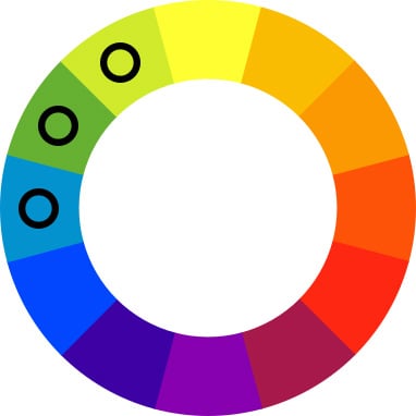 Color wheel with black spots on light blue, green, and lime green.