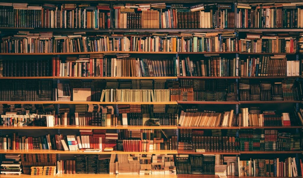 Numerous bookshelves filled with books