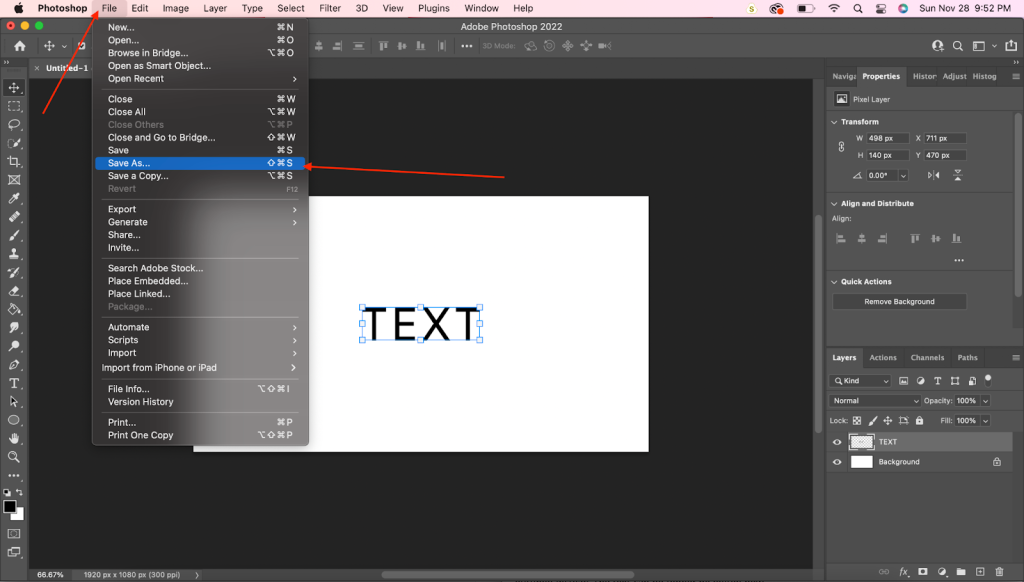 Save as a PDF