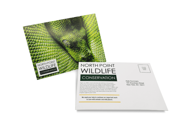 postcards mailer 