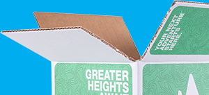 How to Choose a Custom Box Printer