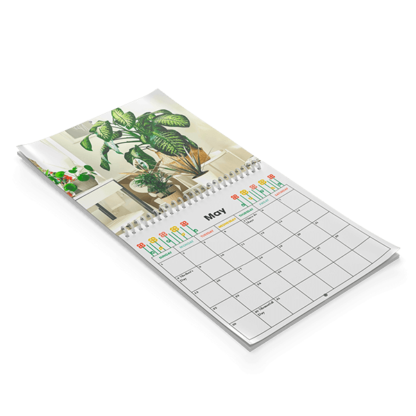 Shop Calendars