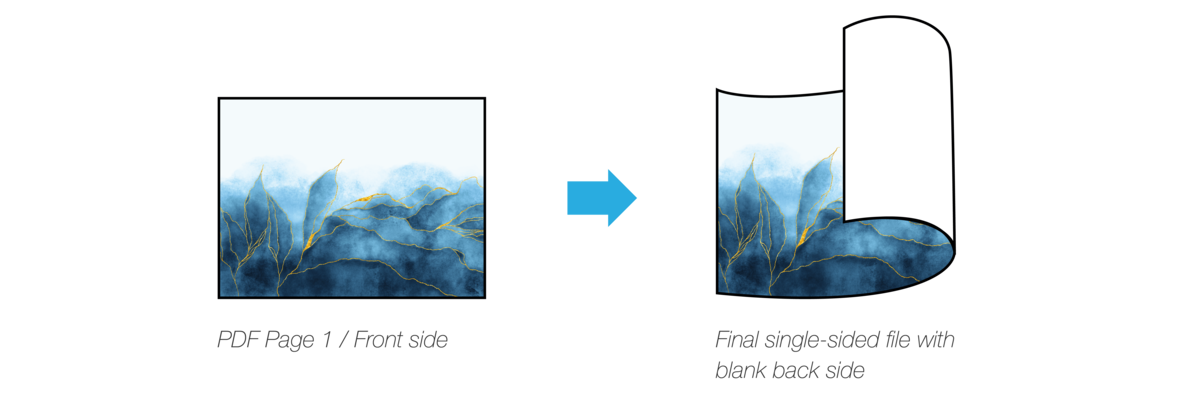 Single-sided file with blank back